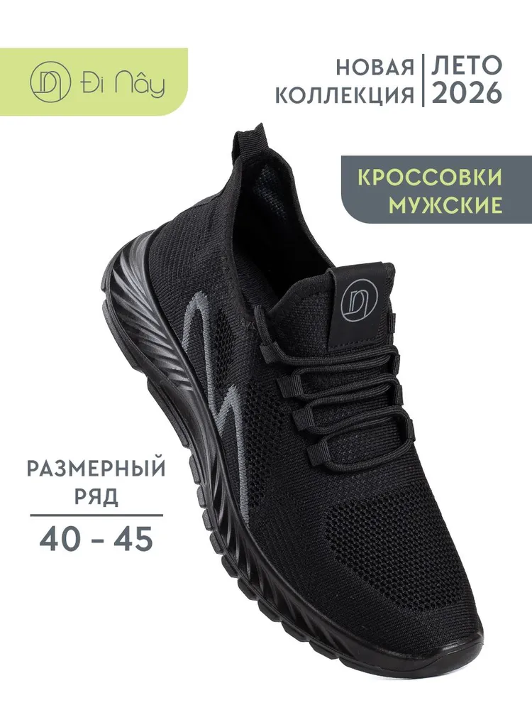 Кроссовки Di Nay мужские летние в сетку