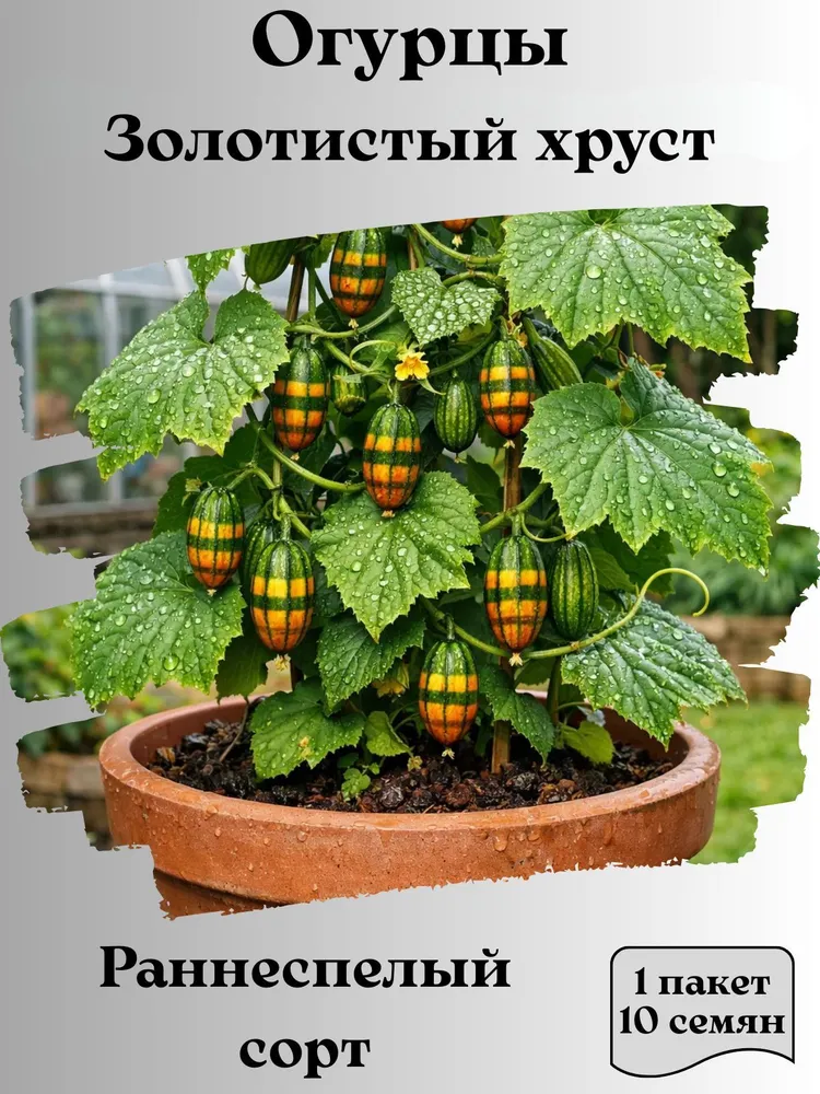 Что происходит с Ozon?