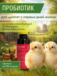 Кормовая добавка PolloVivo для цыплят. Живые бактерии Bacillus subtilis и Bacillus licheniformis, совместим с витаминами Покупают вместе