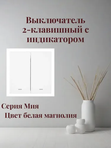Выключатель 2-клавишный c индикатором. Мия,белая магнолия 50432