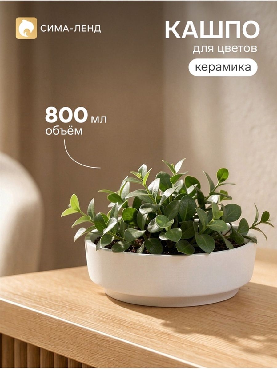 Кашпо для кактусов и суккулентов Бонсайница , керамическое, 800 мл, d 18 см, h 5.5 см, белое