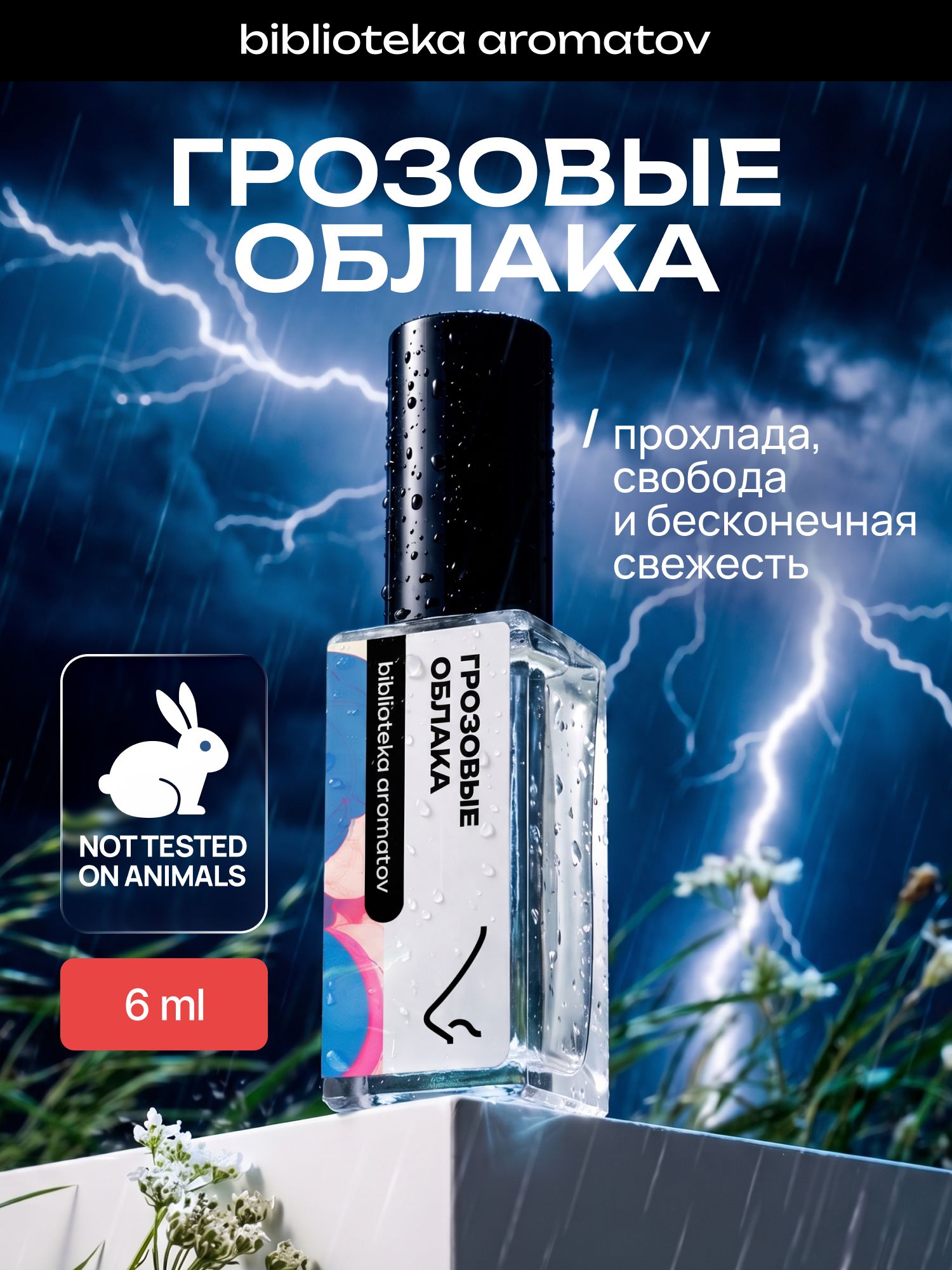 Парфюмерная вода женская и мужская Грозовые облака 6 мл, Библиотека ароматов