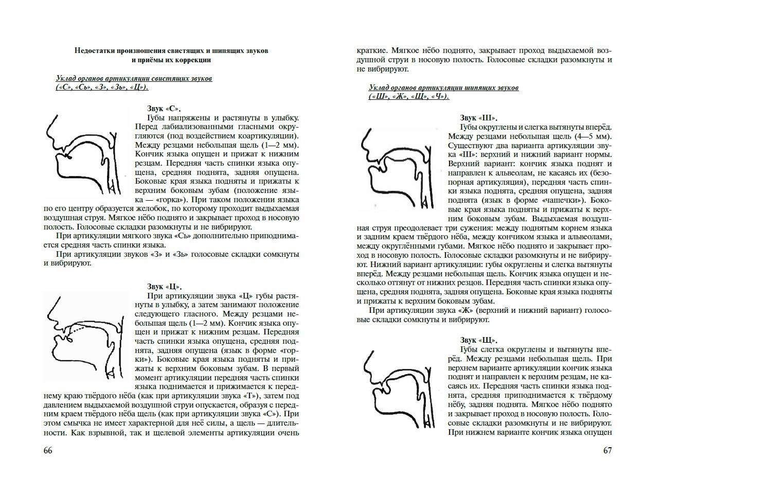 Логопедия. Теория и практика | Speech Therapy. Theory and Practice - Ozon image 5