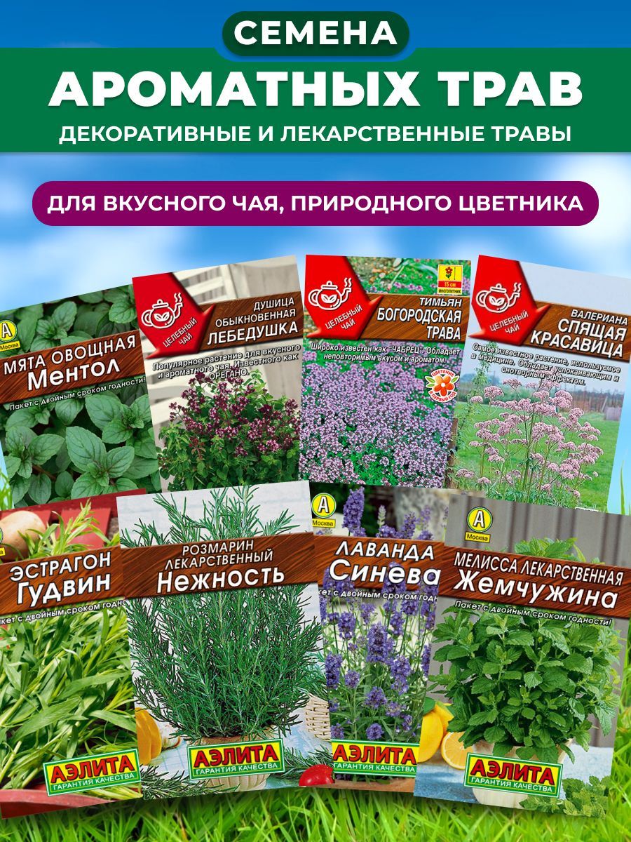 Наборсемянароматныхлекарственныхтрав8пакетов,АгрофирмаАэлита