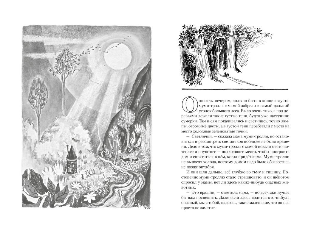 Всё о Муми-троллях. Книга 1 | All About Moominvalley. Book 1 - Ozon image 1