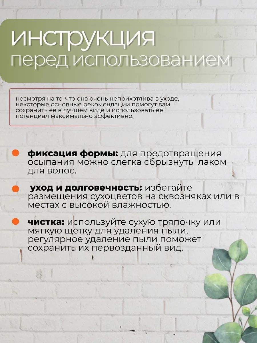 Эвкалипт парфиволия стабилизированный зеленый 60-65cm SJ-4 Китай