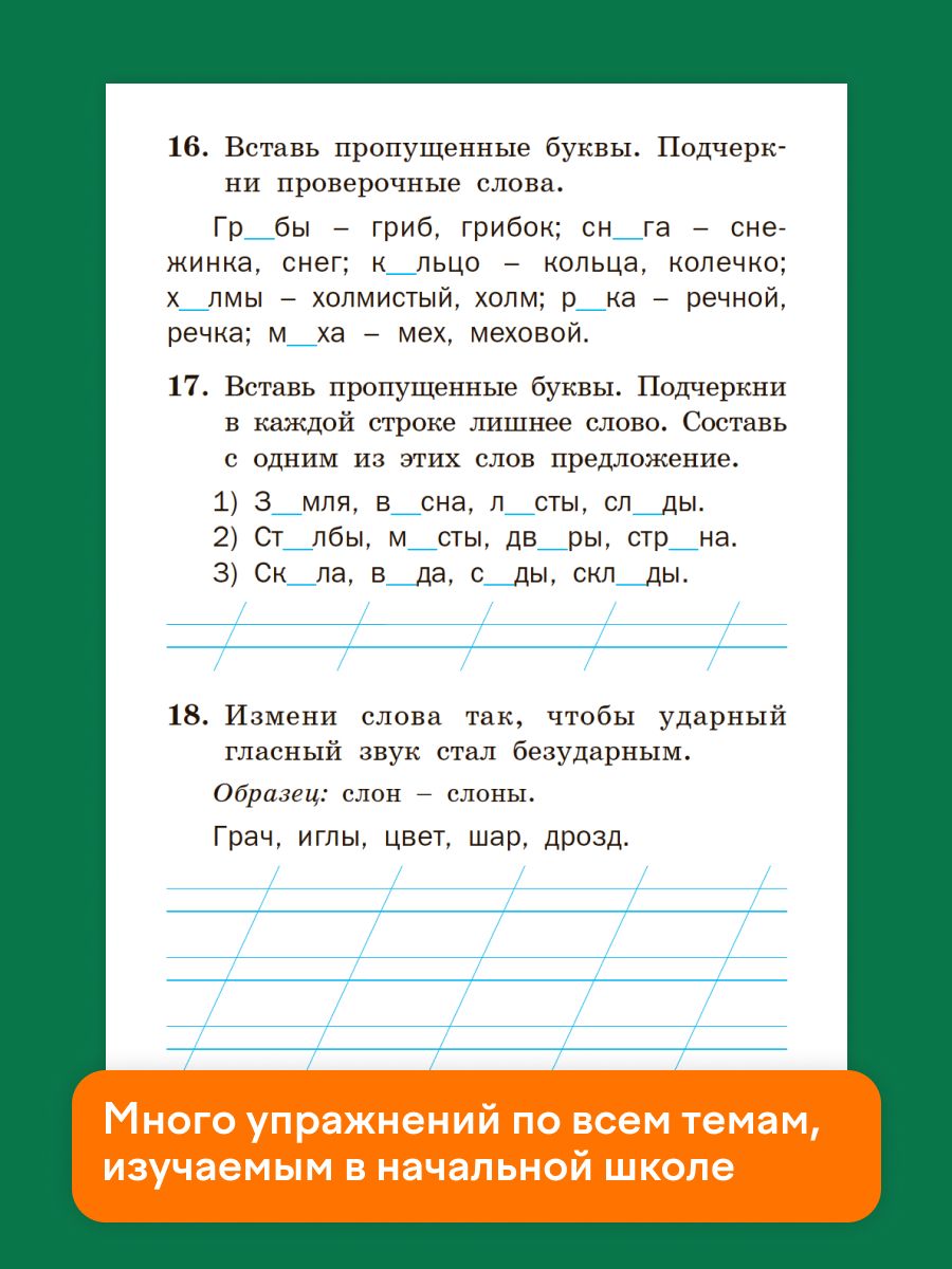 Тренажёр по русскому языку 1 класс | Reference Book - Ozon image 4