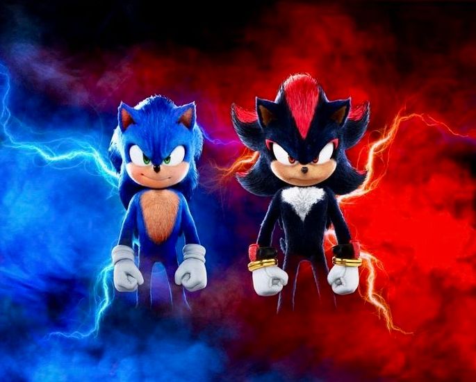 sonic and shadow net worth