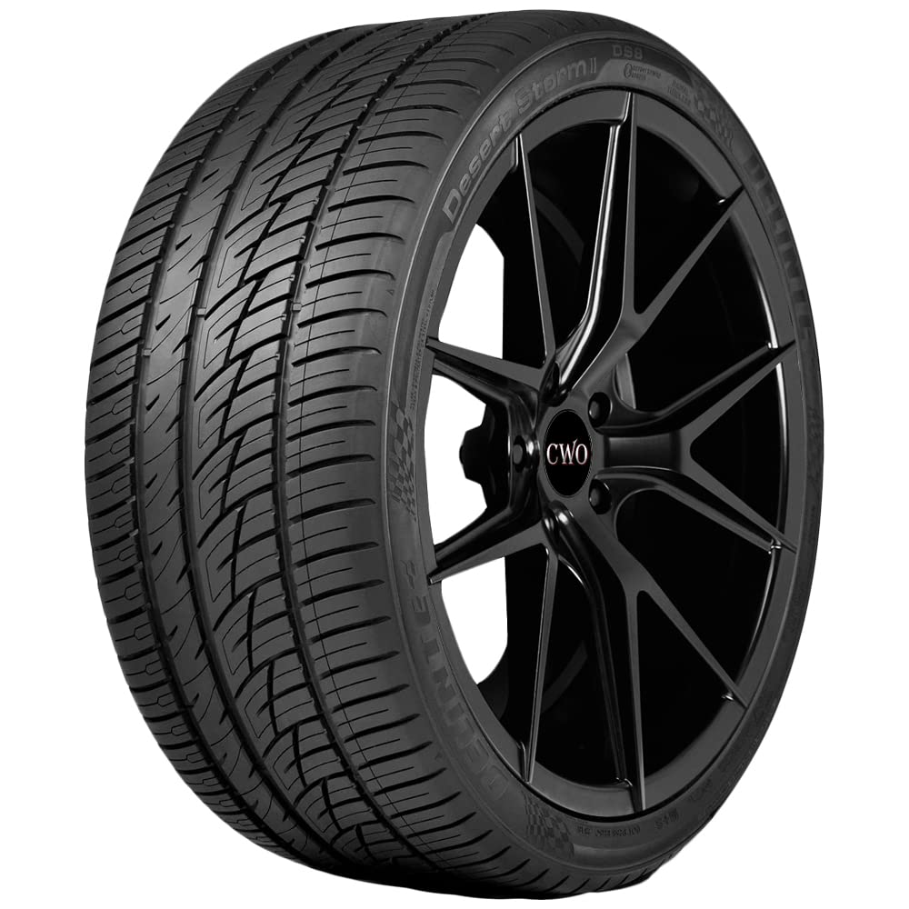 DelinteDS8Шинылетние295/35R21107Y