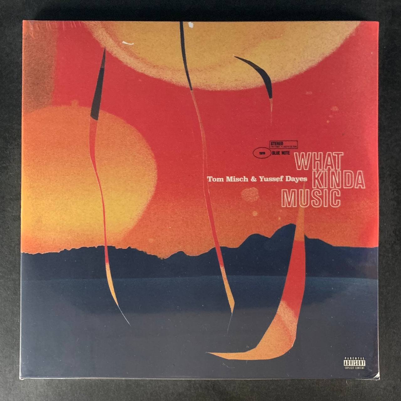 Tom Misch & Yussef Dayes - What Kinda Music (LP, Виниловая