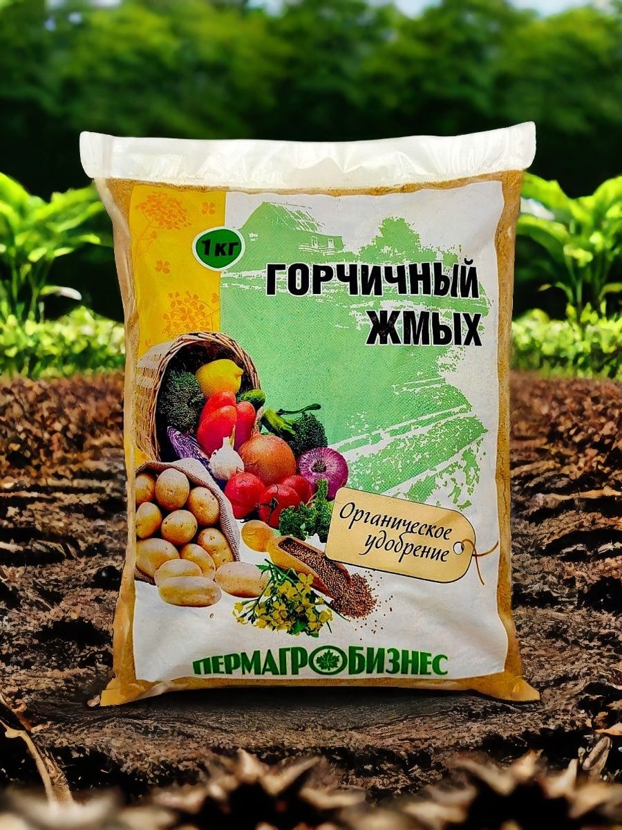 Горчичный порошок и жмых: секрет обильного урожая огурцов без болезней и вредителей