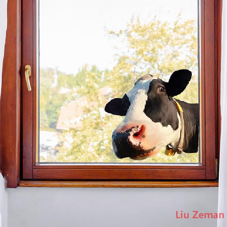 Пленкадляоконстатическая