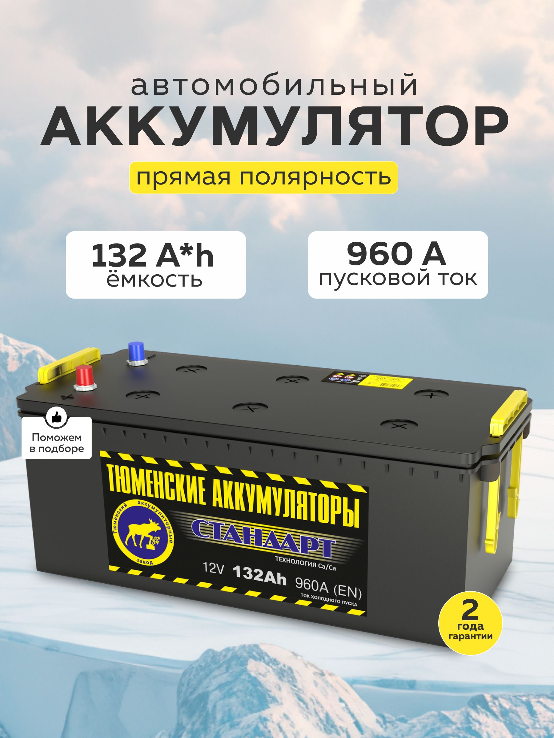 Tyumen Battery Аккумулятор автомобильный, 132 А•ч, Прямая грузовая ...