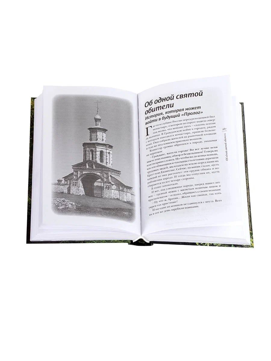 Несвятые святые и другие рассказы | The Unholy Saints and Other Stories - Ozon image 4