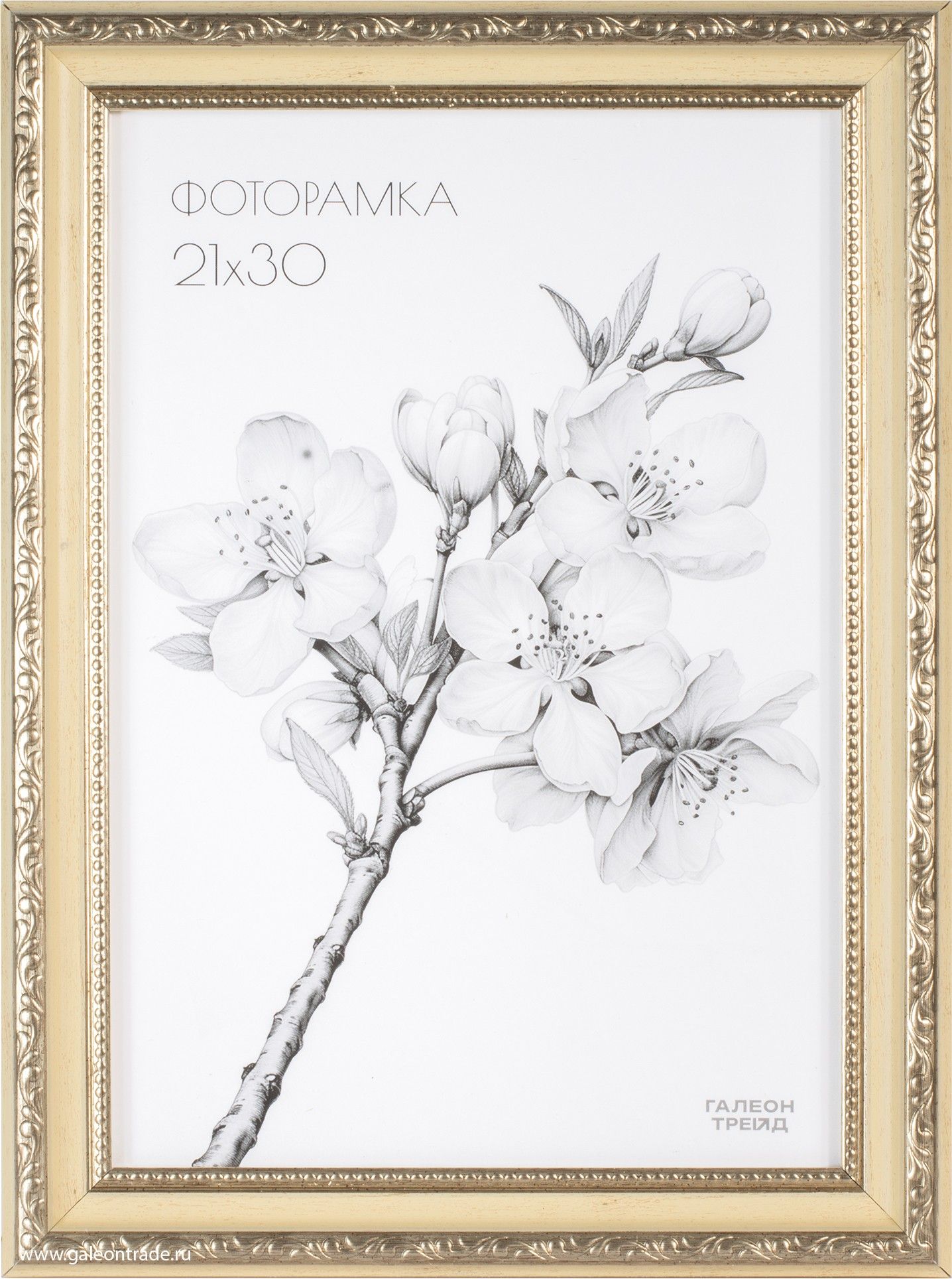 Фоторамка пластиковая 21 х 30 см, золотистая