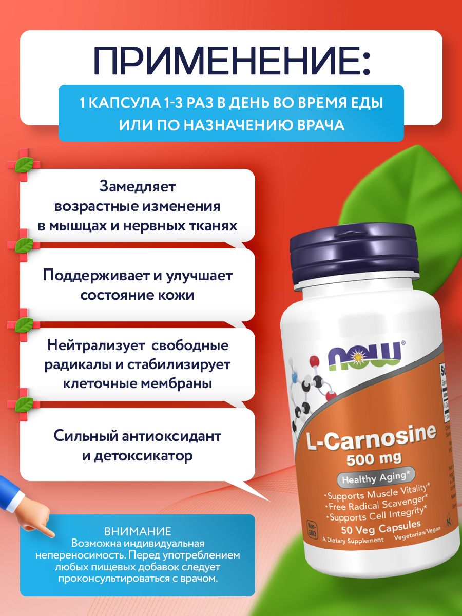 Now, CARNOSINE 500MG 50 капсул