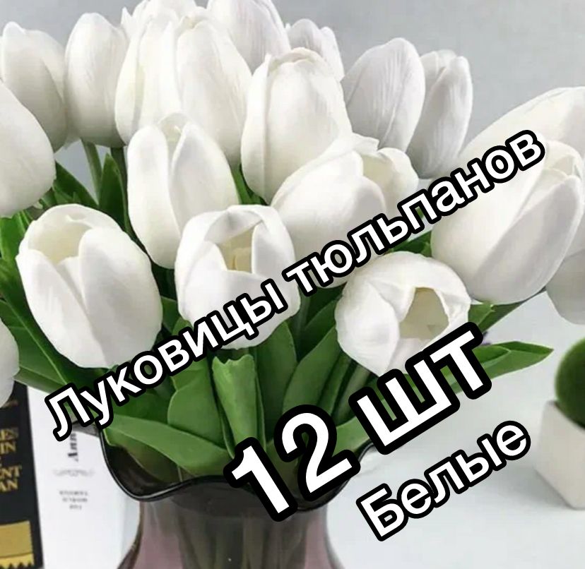 Луковицы,0.202кг