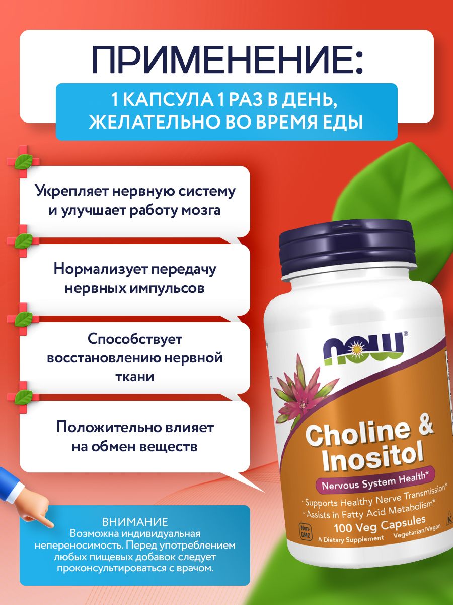 Now, Choline & Inositol 500 мг, 100 капсул