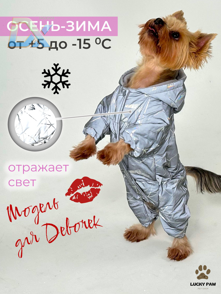 Одежда для животных #1