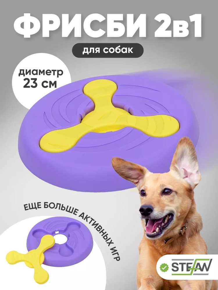 Фрисби #1