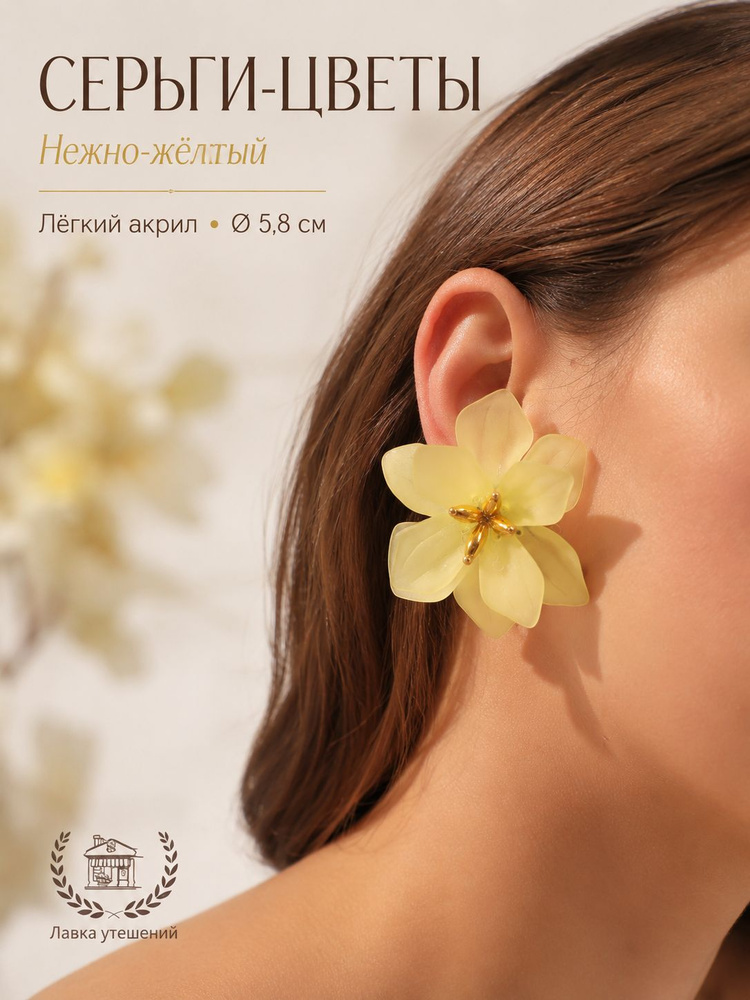 Серьги крупные #1
