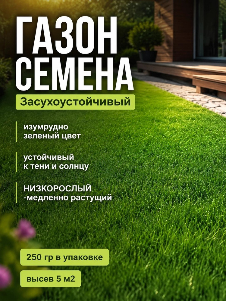 Семена #1