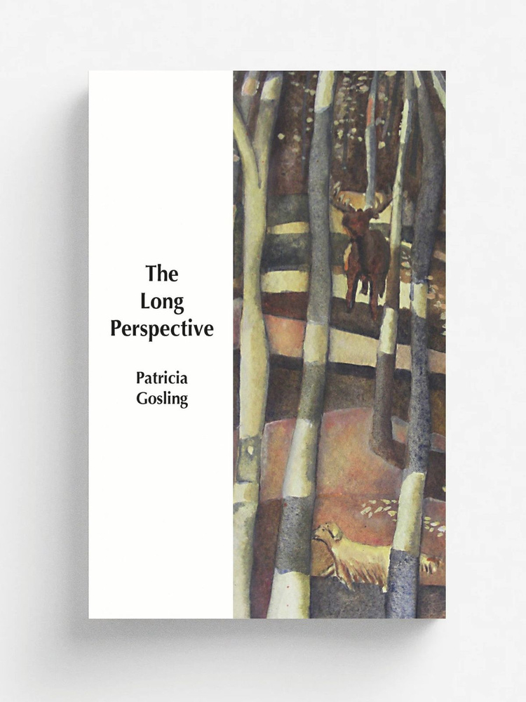 The Long Perspective #1