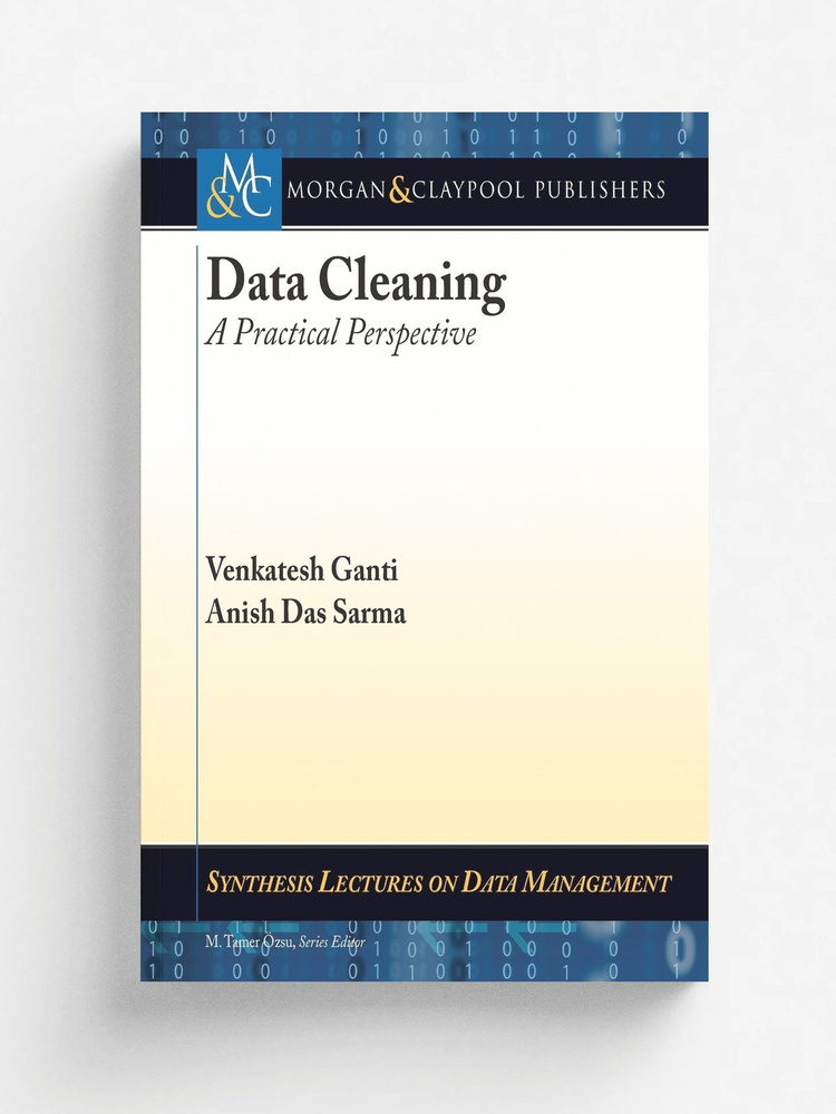 Data Cleaning. A Practical Perspective #1