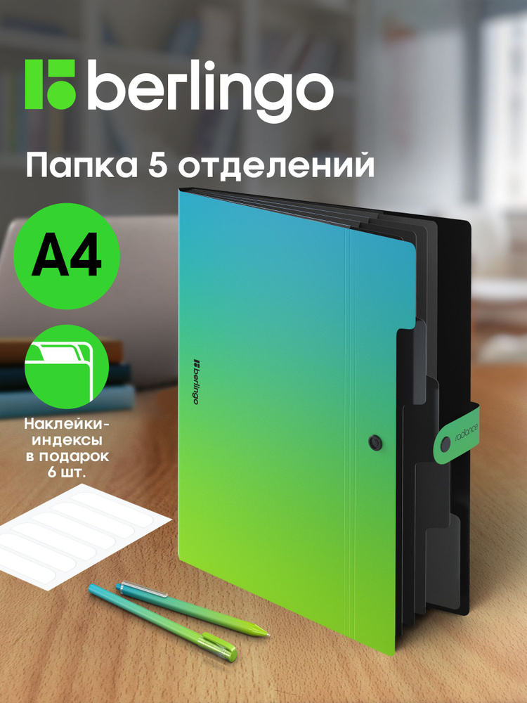 Папка для документов А4, 5 отделений #1