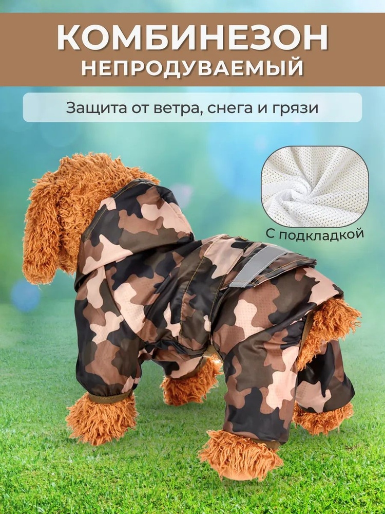 Одежда для животных #1