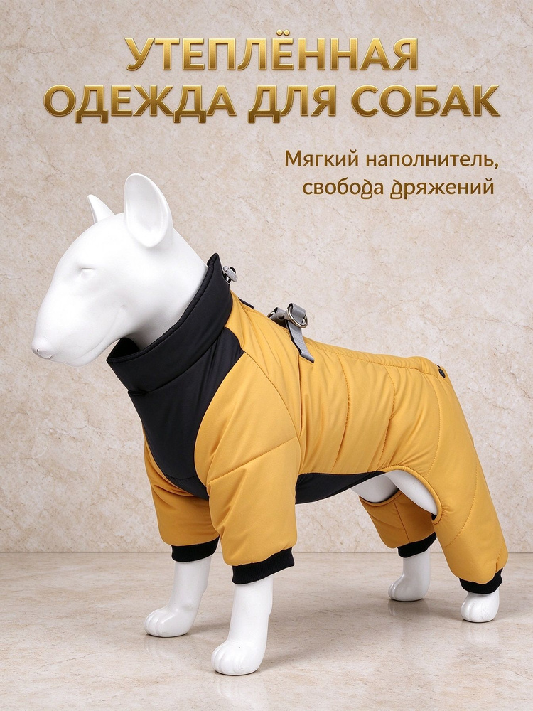 Одежда для животных #1