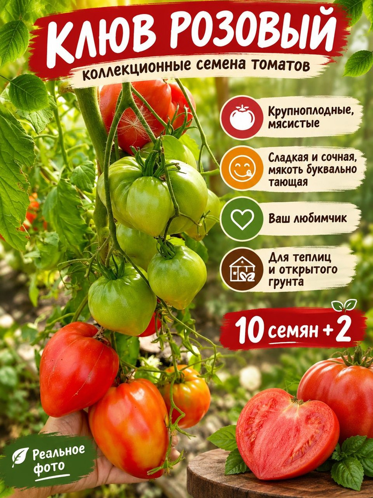 Семена ,12шт #1