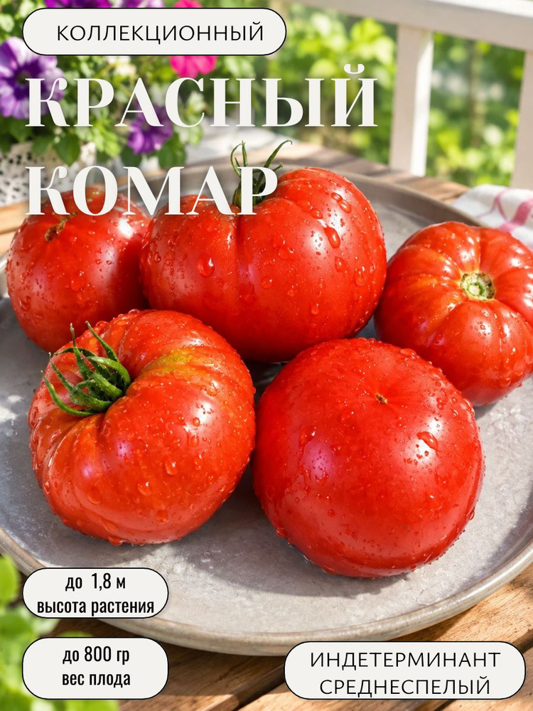 Семена #1