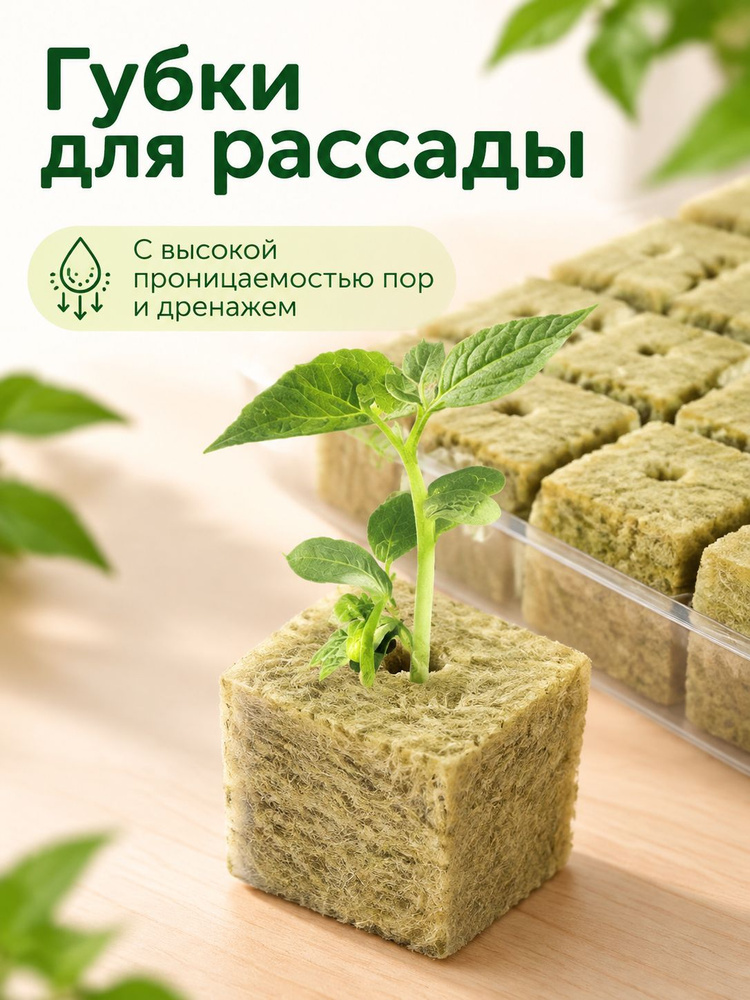 Таблетки торфяные #1