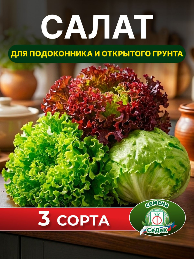 Семена салата #1