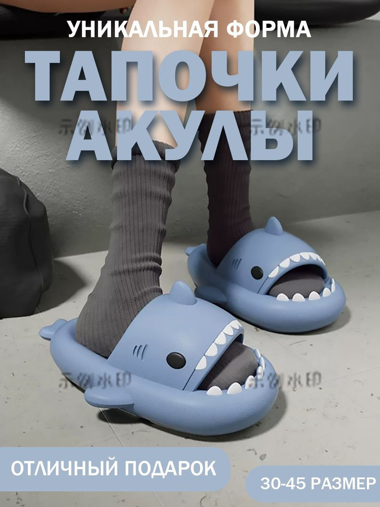 Тапочки акулы #1