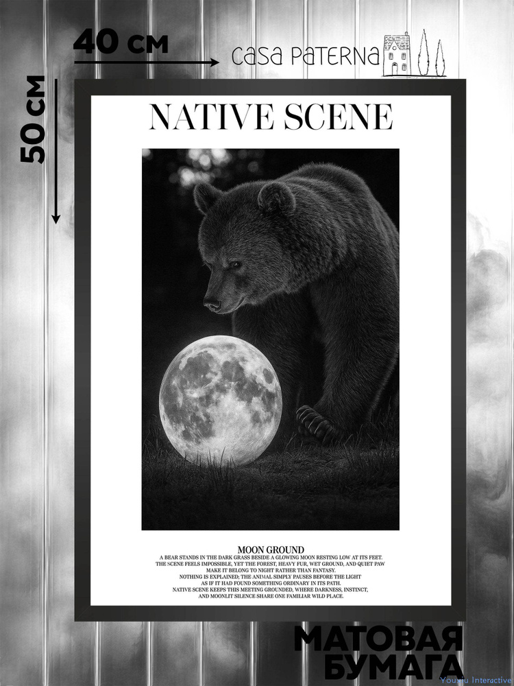 Постер "native48", 50х40 см #1
