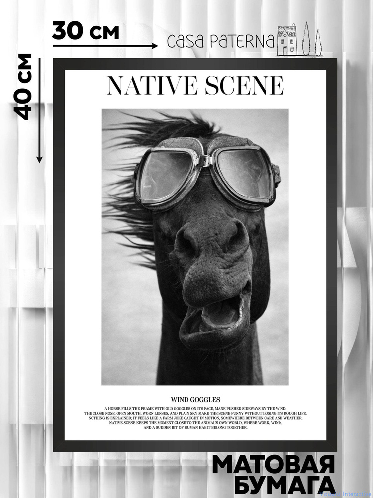 Постер "native14", 40х30 см #1