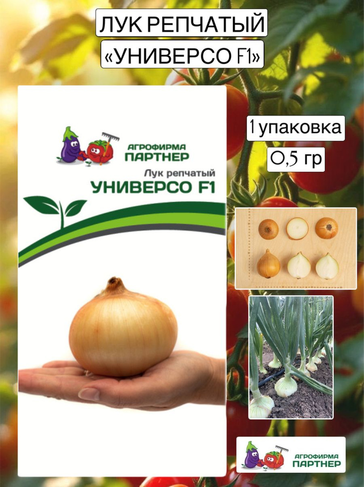 семена лук репчатый #1