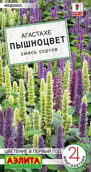 АГАСТАХЕ ПЫШНОЦВЕТ. Семена. Вес. 0,1 гр. Агастахе (лофант) многолетнее, пряно-ароматическое растение-медонос, #1