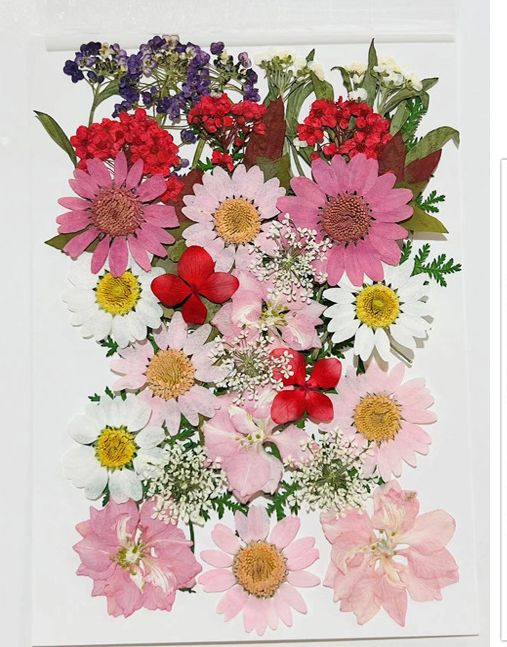 Набор натуральных сухоцветов для творчества, декора, 30 шт., размер набора - 14,5*10,5 см/ сухоцветы #1
