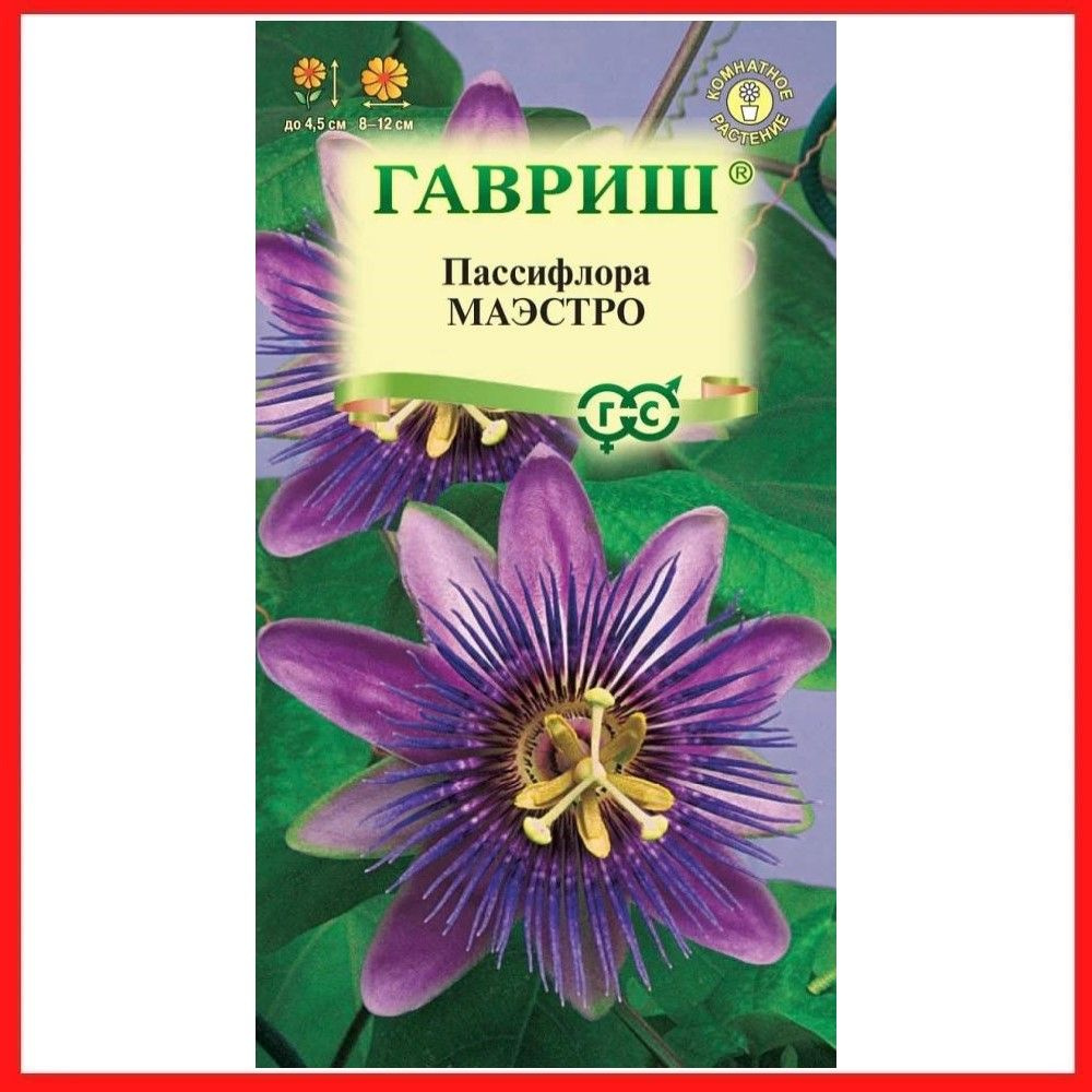 Семена Пассифлора съедобная "Маэстро", 5 шт, многолетние комнатные растения, лиана для дома, дачи, на #1