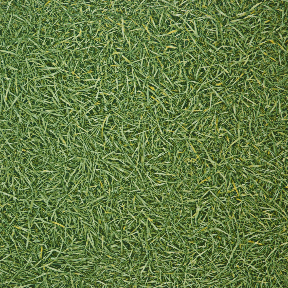 Линолеум на отрез IVC Грасс 25, ширина 3500 мм - купить по выгодной ...