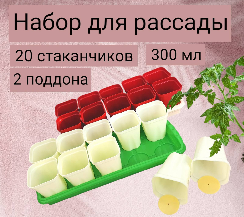 Рассадник, горшочки для рассады 300 мл, 20 шт, 2 поддона, стаканчики со ...