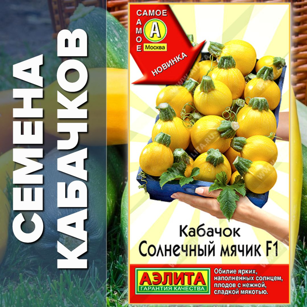 Способы хранения плодов без семян