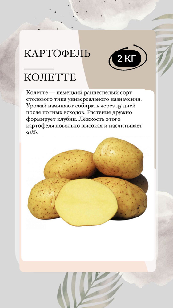 Клубни Картофель купить по выгодной цене в интернет-магазине OZON ...