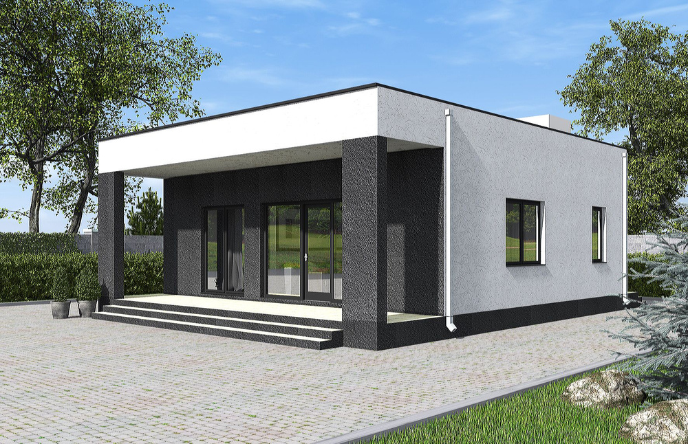 Проект Rg6238 - Одноэтажный дом с террасой и парилкой (64 м2, 12м x10м)  #1