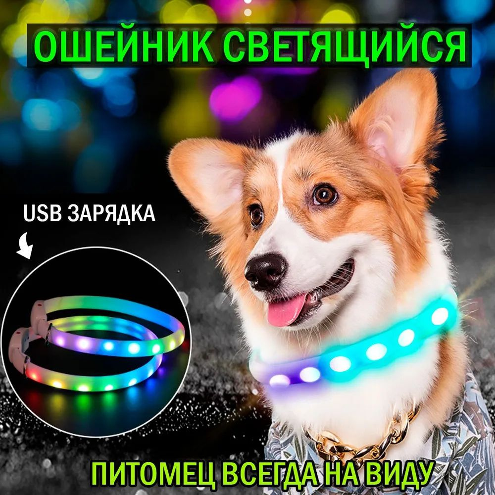 Светящийся ошейник неоновый для собак мелких, средних и крупных пород с ...