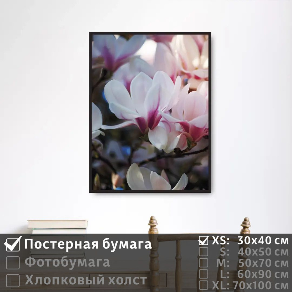 Постер на стену Розово Белые Цветы Магнолии 30х40 см ПолиЦентр #1