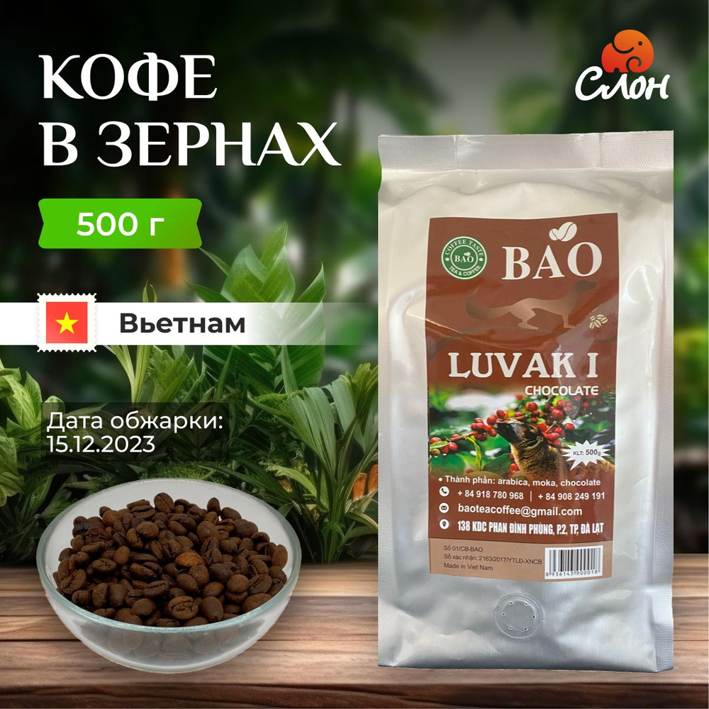 Вьетнамский кофе в зернах Шоколадный Лювак Ай (Chocolate Luvak I) - BAO - 500г  #1